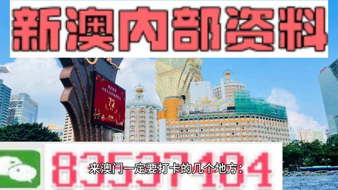 新澳门精准免费大全，一网打尽攻略秘籍