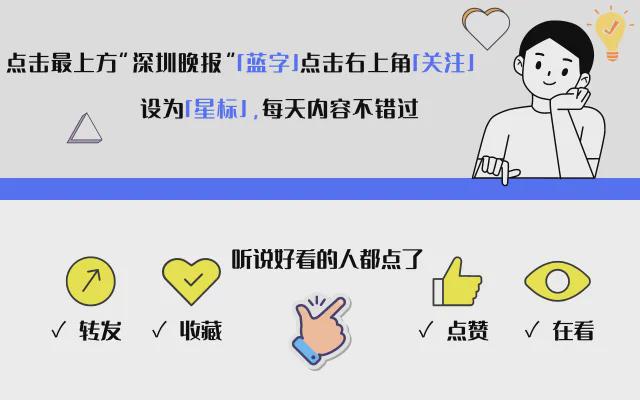 一码一肖期期公开中特深度解答解释落实之我见