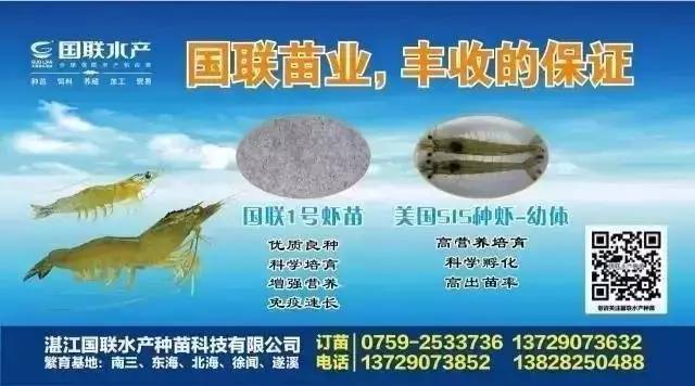 新澳门三期必开一期，前沿解答、解释与落实