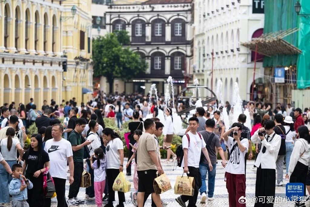 澳门旅游政策解析，澳门2025全年免费资料与词语释义深度探讨