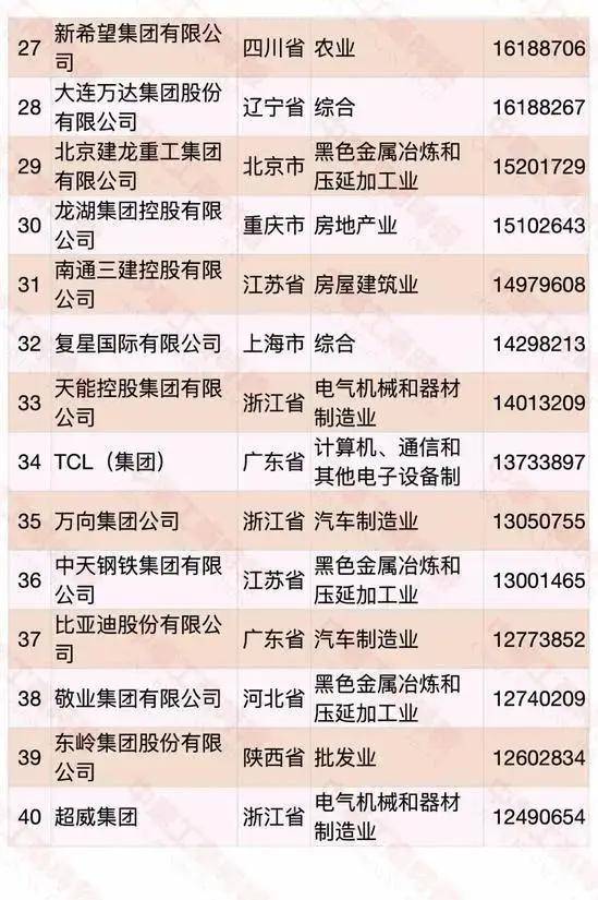 全民喜欢，聚焦2025新奥最新资料大全精选解析，深化落实与策略探讨