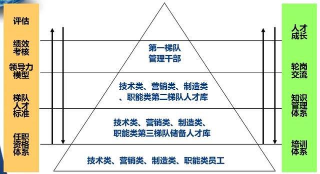 今晚必中四不像图玄机图，构建解答解释落实的策略与路径探索