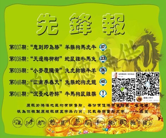 今晚必中四不像图玄机图，解答、解释与落实之道