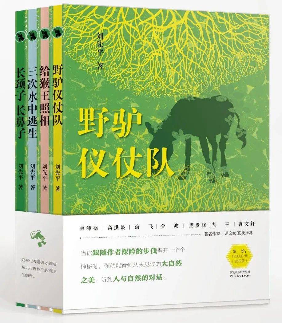 三中三必中一组澳门，探寻大自然的奥秘，感受生命的律动