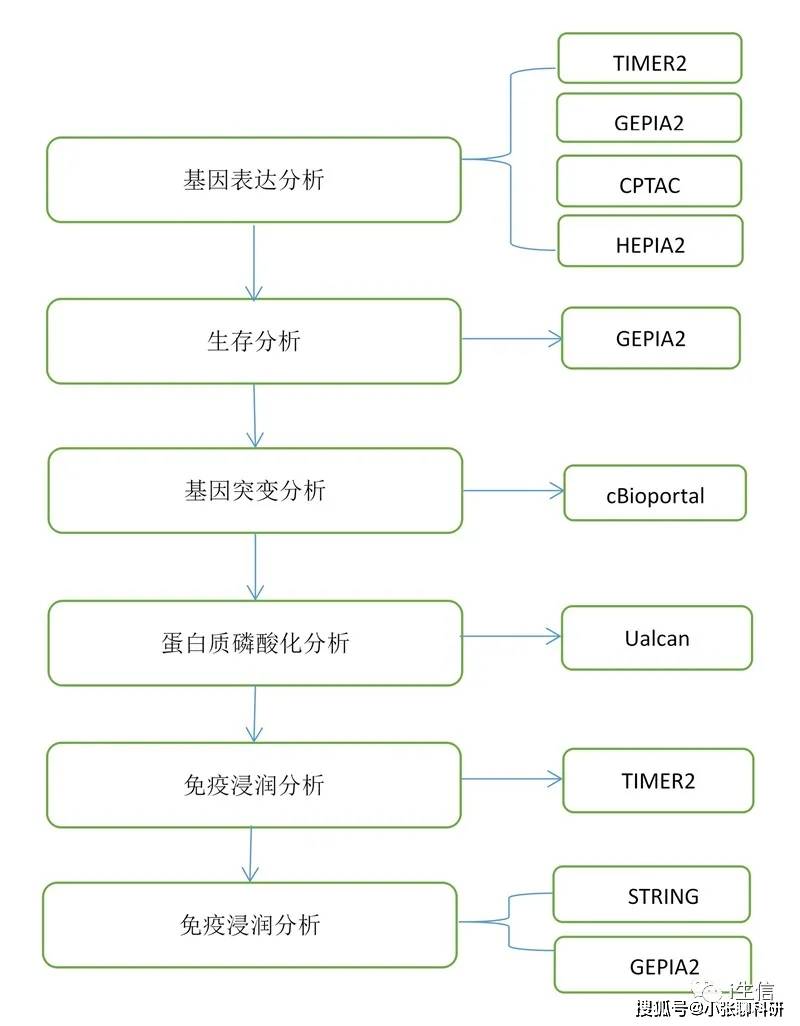 新澳2025最新资料大全与决策资料解释定义——AR94.463关键词解析