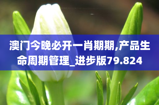 探索未来，2025年新澳全年资料及其高质量解析